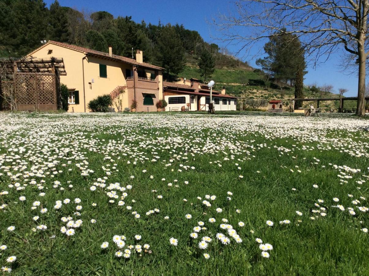 Agriturismo Podere Bucine Basso Lari Exterior photo